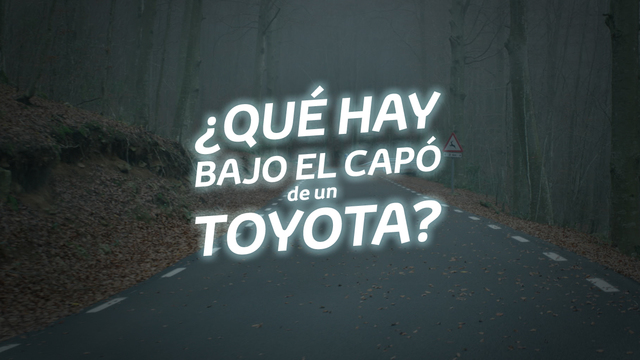 Campaña de Toyota